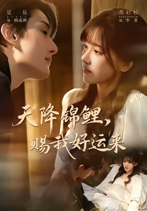 天降锦鲤，赐我好运来（60集）1-102集