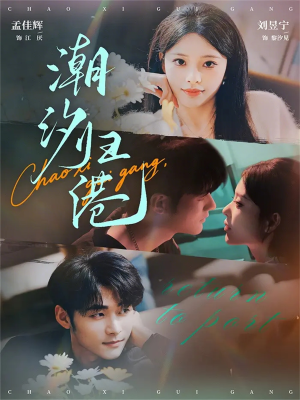 潮汐归港（66集）真的太好看了