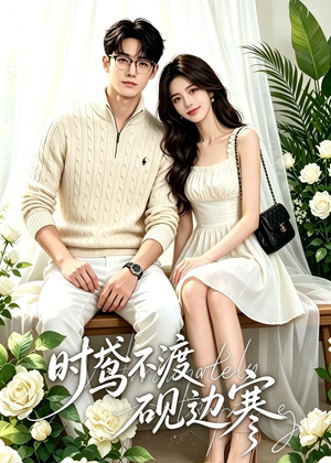 时鸢不渡砚边寒（41集）爆款短剧抢先看