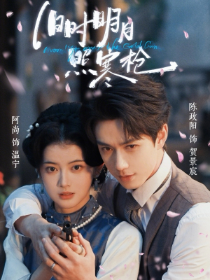 旧时明月照寒枪（62集）常回家看看短剧