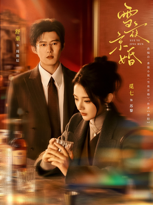 雪夜京婚（84集）观看软件