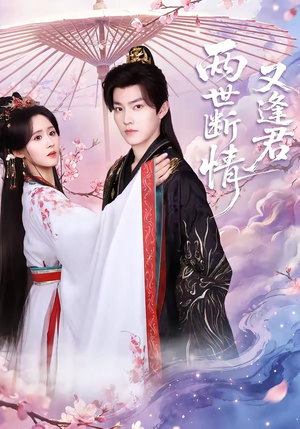 两世断情又逢君（71集）精彩短剧热播中