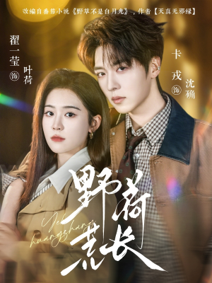 野荷荒长（86集）热门短剧在线看