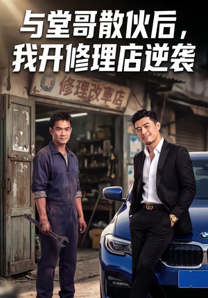 与堂哥散伙后，我开修理店逆袭（40集）短剧全集免费看