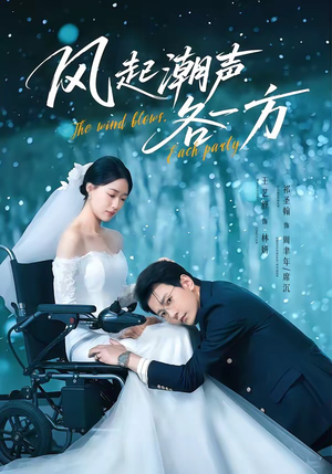 风起潮声各一方（84集）短剧推荐来了