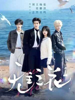 无主之花1（72集）短剧热门合集