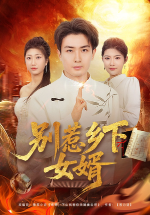 别惹乡下女婿（80集）免费版