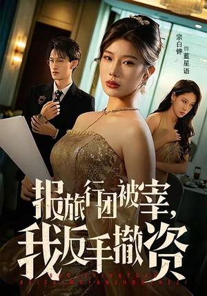 报旅行团被宰，我反手撤资（59集）追短剧看全集
