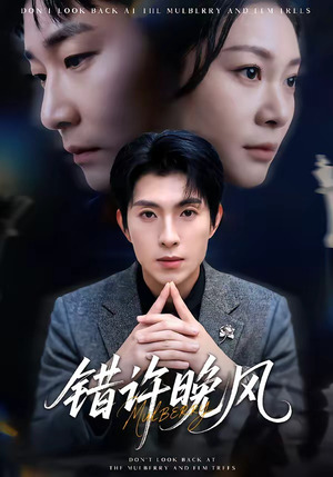 错许晚风（60集）短剧追不停