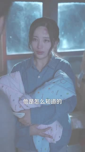 全港围剿：她继承了丈夫遗志（84集）免费短剧完整版