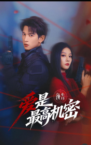 爱是最高机密（25集）热播短剧排行榜