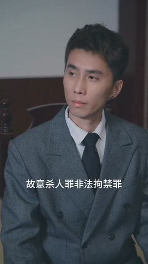 暗夜执刀（60集）全集完整版