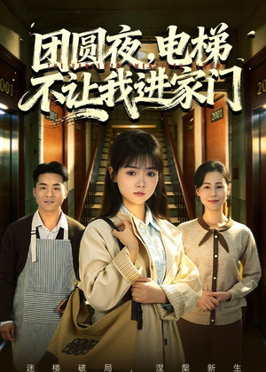 团圆夜，电梯不让我进家门（52集）大结局太过瘾了