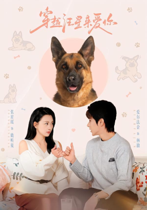 穿越汪星来爱你(62集) 穿越汪星来爱你(62集)在哪个app能看