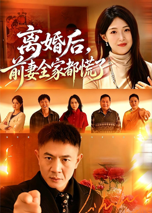 离婚后,前妻全家都慌了(52集) 离婚后,前妻全家都慌了(52集)百度网盘资源