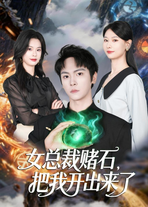 女总裁赌石,把我开出来了(76集) 女总裁赌石,把我开出来了(76集)第二季