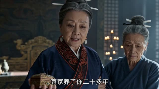 婉弈传(49集) 婉弈传(49集)高清无码免费看