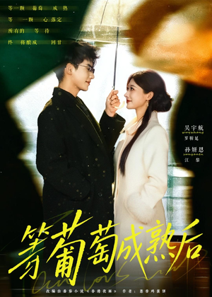 等葡萄成熟后(82集) 等葡萄成熟后(82集)免费短剧看全集