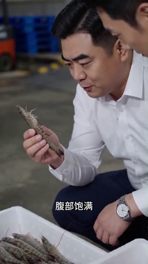 好心帮虾农清货,他们骂我吃相难看(54集) 好心帮虾农清货,他们骂我吃相难看(54集)第三季