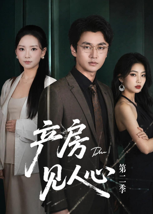 产房见人心第二季(75集) 产房见人心第二季(75集)一共多少集