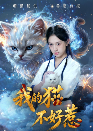 我的猫不好惹(42集) 我的猫不好惹(42集)免费观看