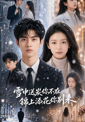 雪中送炭你不在,锦上添花你别来(60集) 雪中送炭你不在,锦上添花你别来(60集)女主角是谁