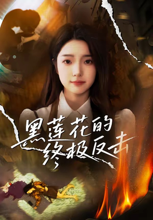 黑莲花的终极反击(60集) 黑莲花的终极反击(60集)在哪看