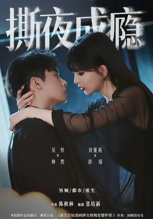 撕夜成瘾(74集) 撕夜成瘾(74集)短剧演员排行榜
