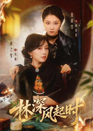 林深风起时（63集）精彩的短剧