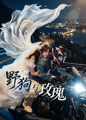 野狗与玫瑰(30集) 野狗与玫瑰(30集)好看的短剧分享