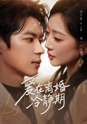 爱在离婚冷静期（73集）独家资源免费看