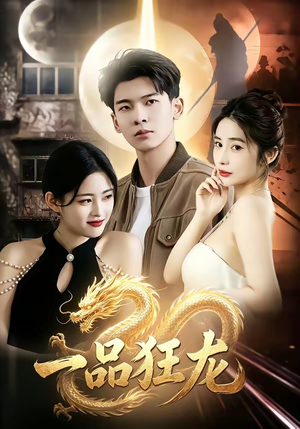一品狂龙(68集) 一品狂龙(68集)怎么看全集