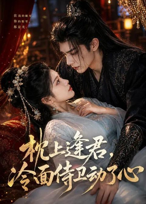 枕上逢君,冷面侍卫动了心(92集) 枕上逢君,冷面侍卫动了心(92集)演的怎么样