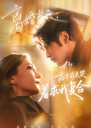 离婚当天，高冷前夫哭着求我复合（77集）正能量短剧分享