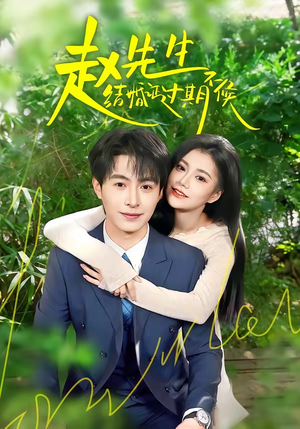 赵先生结婚证过期不候（50集）精彩短剧推荐