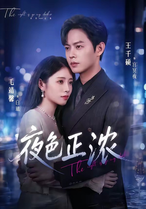 夜色正浓（65集）短剧追不停
