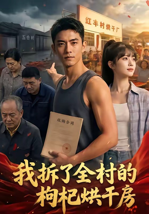 我拆了全村的枸杞烘干房（40集）好看短剧追不停