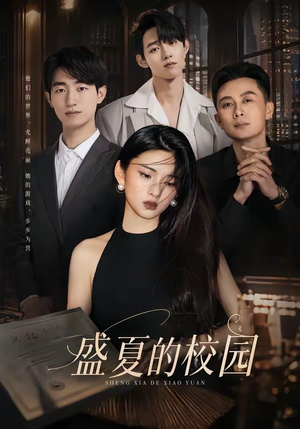 盛夏的校园（60集）在线播放