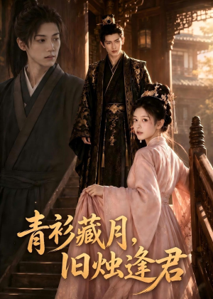 青衫藏月，旧烛逢君（56集）在哪个app能看