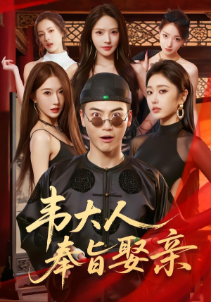 韦大人奉旨娶亲(81集) 韦大人奉旨娶亲(81集)超好看短剧推荐