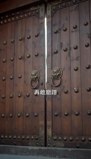 双影芳华(60集) 双影芳华(60集)无需会员轻松看