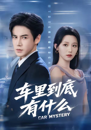 车里到底有什么(51集) 车里到底有什么(51集)全集我都看完了