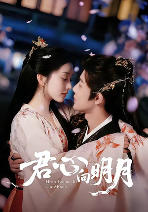 君心向明月(60集) 君心向明月(60集)最热短剧推荐