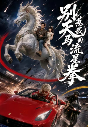 别惹我的天马流星拳（40集）追短剧关注我