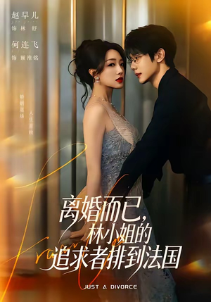 离婚而已，林小姐的追求者排到法国（79集）看到了大结局