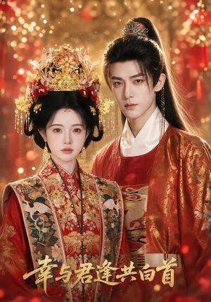 幸与君逢共白首(79集) 幸与君逢共白首(79集)免费短剧看不停