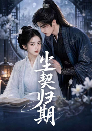 尘契归期（63集）在哪个app能看