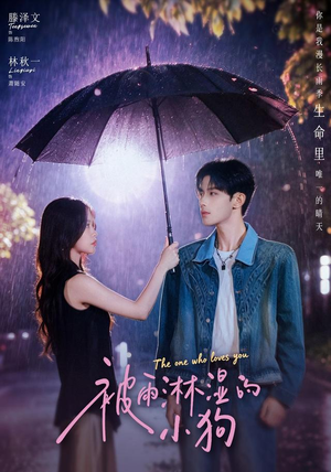 被雨淋湿的小狗(80集) 被雨淋湿的小狗(80集)短剧全集完整
