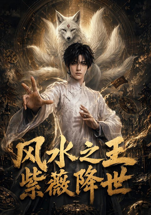 风水之王,紫薇降世(64集) 风水之王,紫薇降世(64集)在哪个平台看