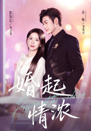 婚起情浓(99集) 婚起情浓(99集)推荐好短剧